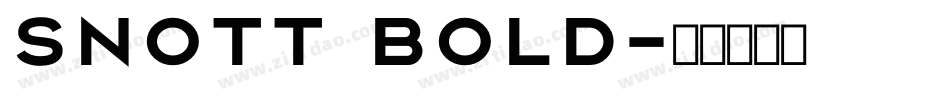 Snott Bold字体转换